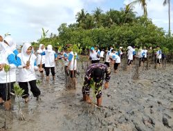 Lanal Bintan Bersama SMA Tunas Bangsa Lagoi Peduli Lingkungan Dengan Menanam 10.000 Pohon Mangrove