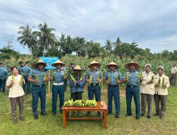 Lanal Dabo Singkep Komitmen Dalam Mendukung Program Ketahanan Pangan Nasional