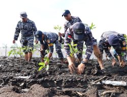 Hijaukan Pantai Raja Keuchik, Danlanal Dumai Pimpin Penanamam 3.000 Pohon Mangrove