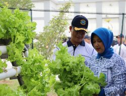 Turut Dukung Indonesia Sebagai Negara Swasembada Pangan, Lanal Dumai Tebar 50.000 Ekor Bibit Ikan Patin