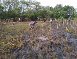 Pelaksanaan Penanaman Pohon Mangrove Tahap Kedua di Kampung Tipar Cianjur Jawa Barat