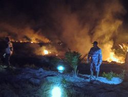 Penuh Keberanian dan Dedikasi Menembus Panas Kobaran Api, Prjaurit TNI AL Berhasil Selamatkan Hutan dan Lahan di Riau